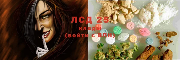 ГАЛЛЮЦИНОГЕННЫЕ ГРИБЫ Баксан