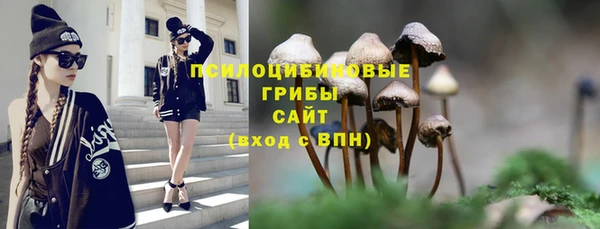 индика Балабаново