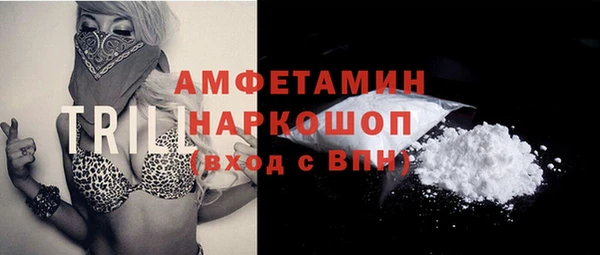 индика Балабаново