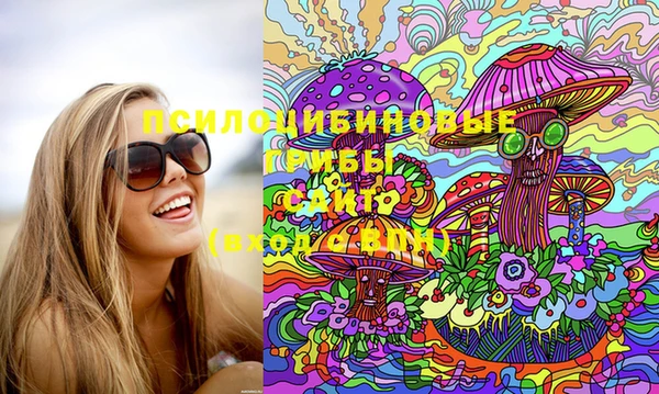 дживик Балахна