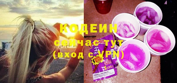 индика Балабаново