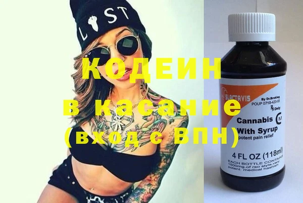 индика Балабаново