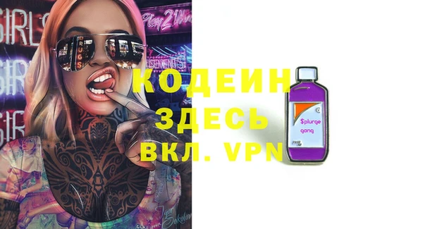 индика Балабаново