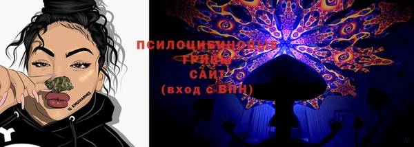 дживик Балахна