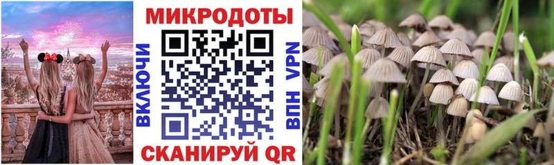 ОМГ ОМГ как войти  наркошоп  Семилуки  Галлюциногенные грибы Psilocybe 